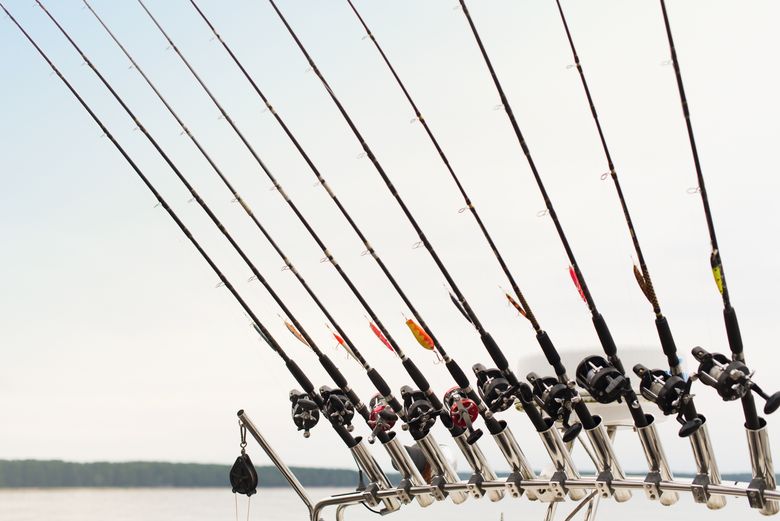 Things To Do Lil Darlin' Charters